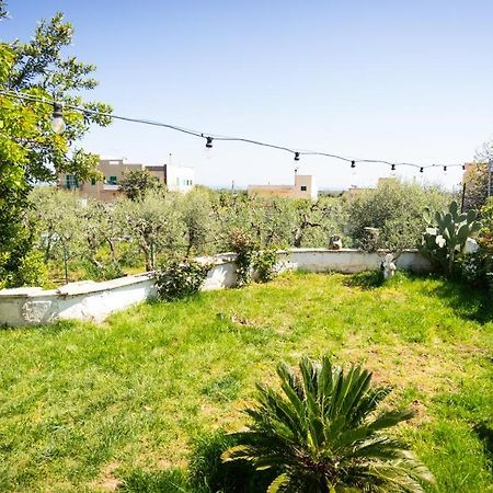 مبيت وإفطار مونوبولي Green House المظهر الخارجي الصورة
