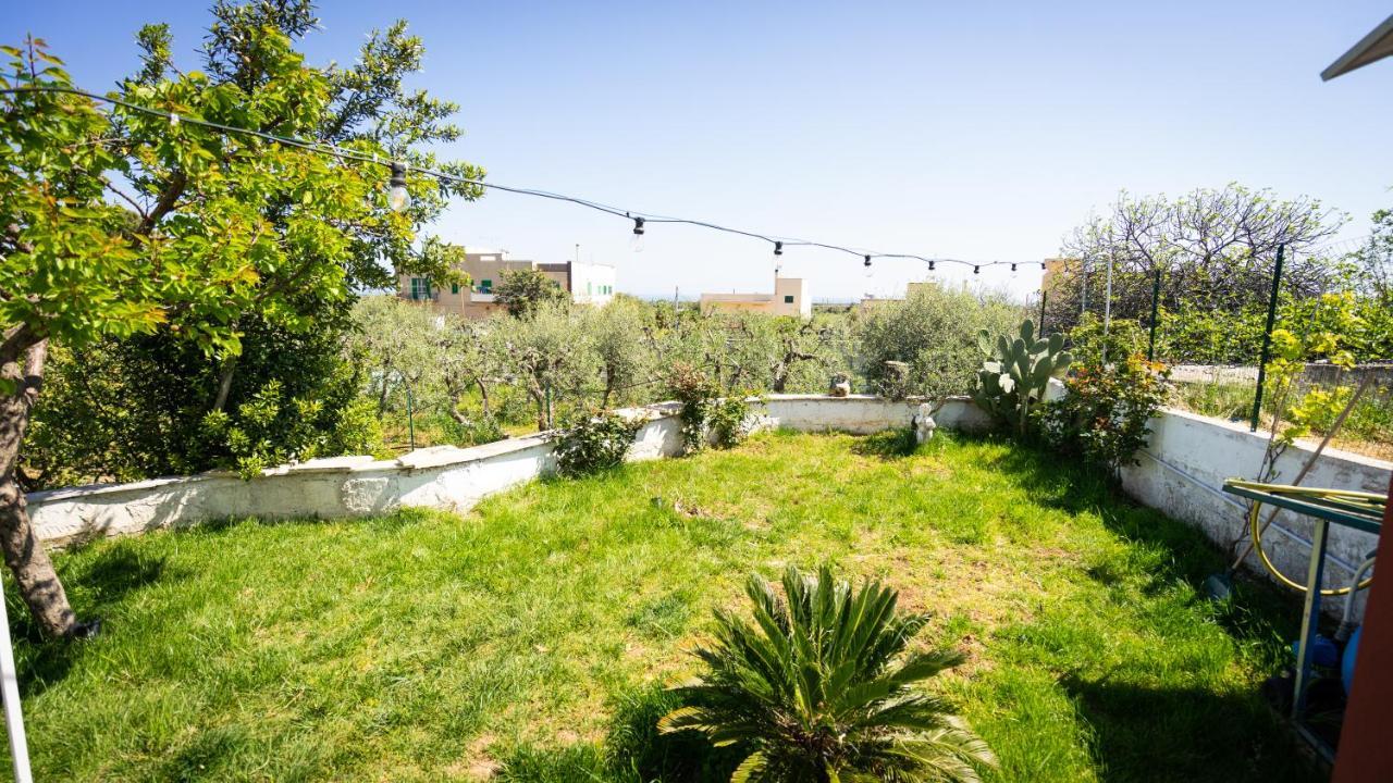 مبيت وإفطار مونوبولي Green House المظهر الخارجي الصورة